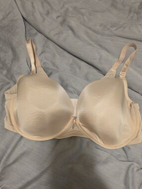 Torrid Curve Brad 38ddd